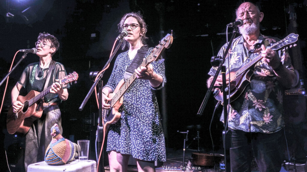 Don and the Divorcees playing a small pub stage